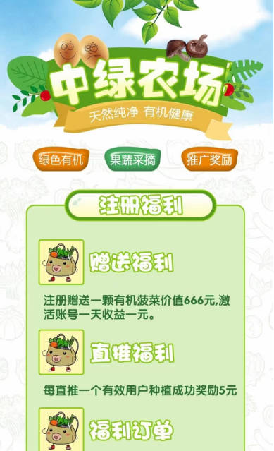 中绿农场