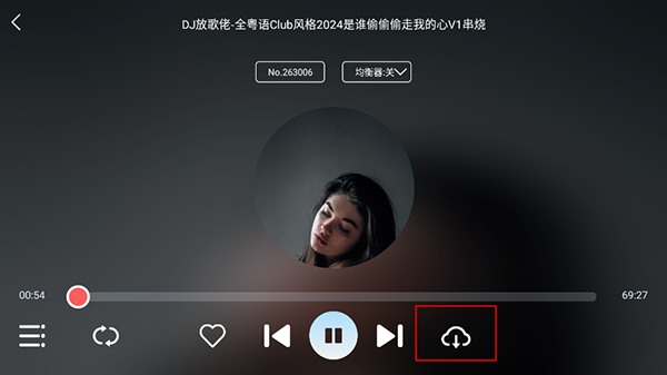 轻风DJ车机版