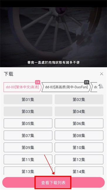 duofun