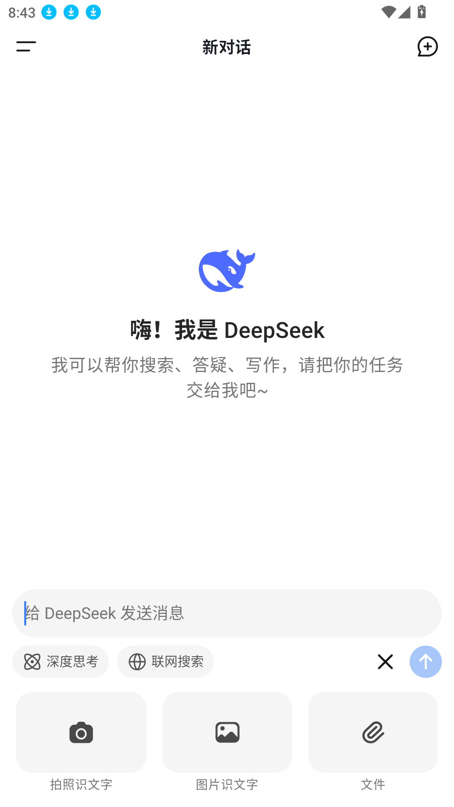 DeepSeek