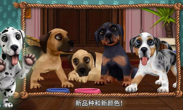 狗狗世界我的小狗