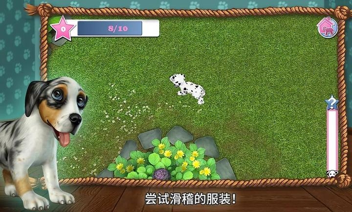狗狗世界我的小狗