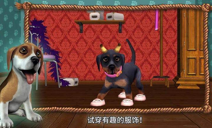 狗狗世界我的小狗