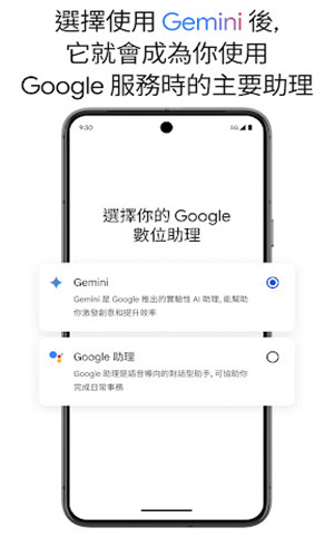 Google Gemini
