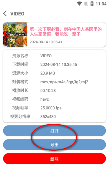 BVD下载器