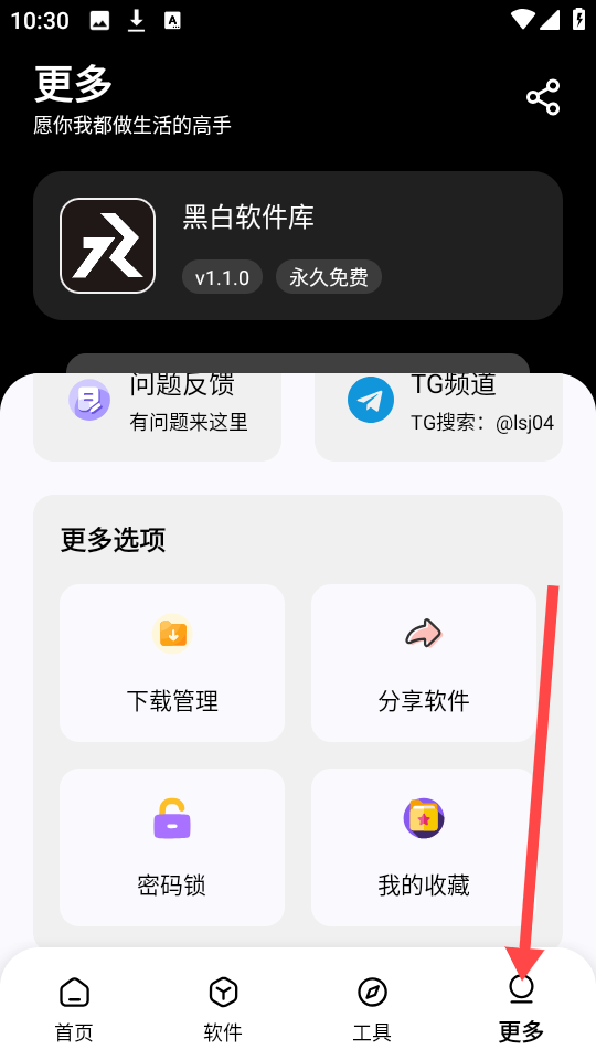 黑白软件库