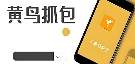 黄鸟抓包版本大全