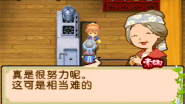牧场物语双子村