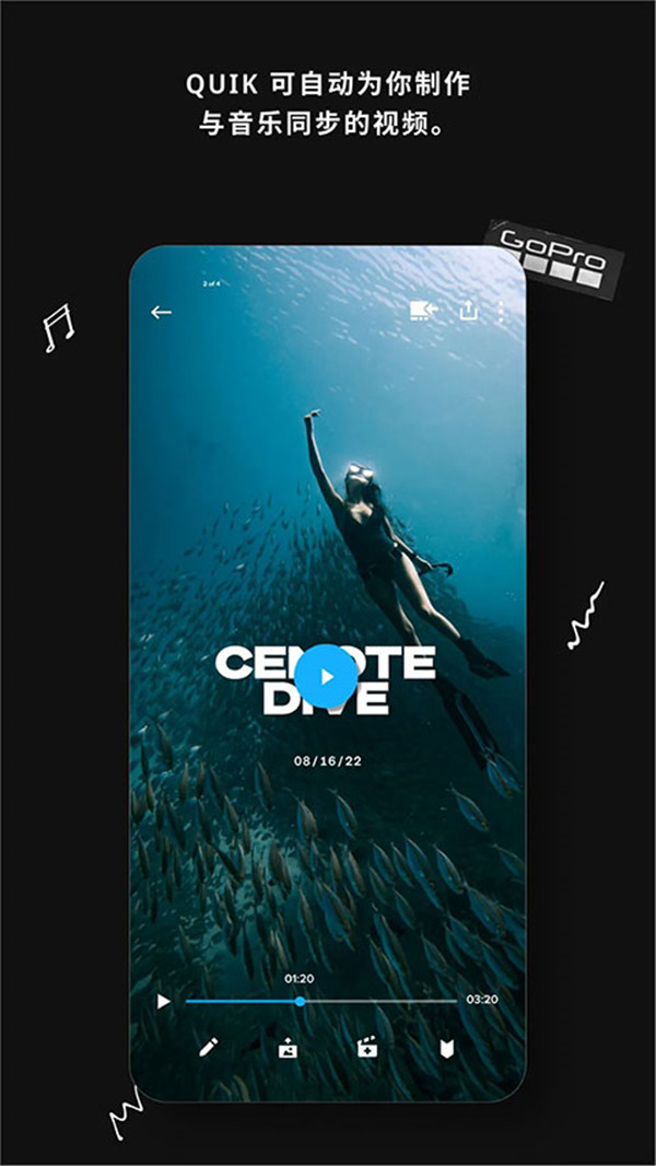 goproquik