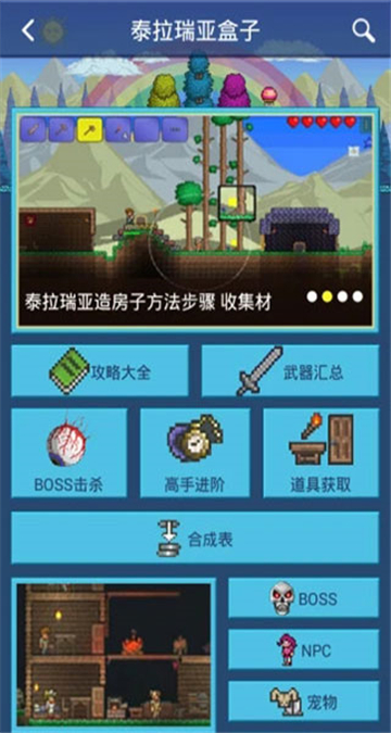 泰拉瑞亚盒子