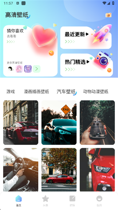 海豚壁纸