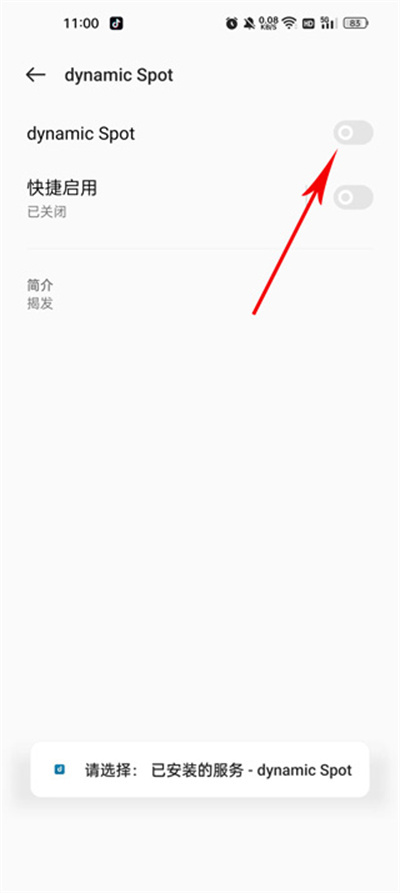 dynamicSpot Pro