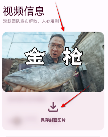 忻视Down