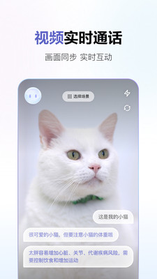 商汤商量