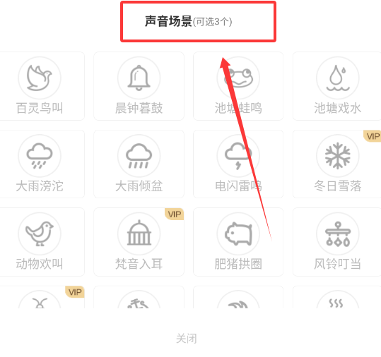 冥想金鱼
