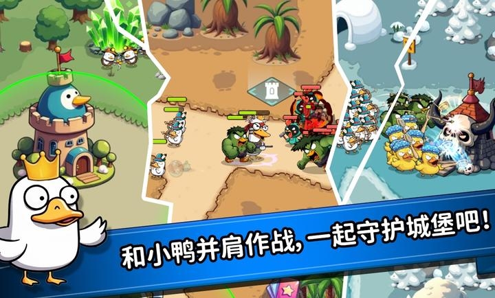 什么鸭