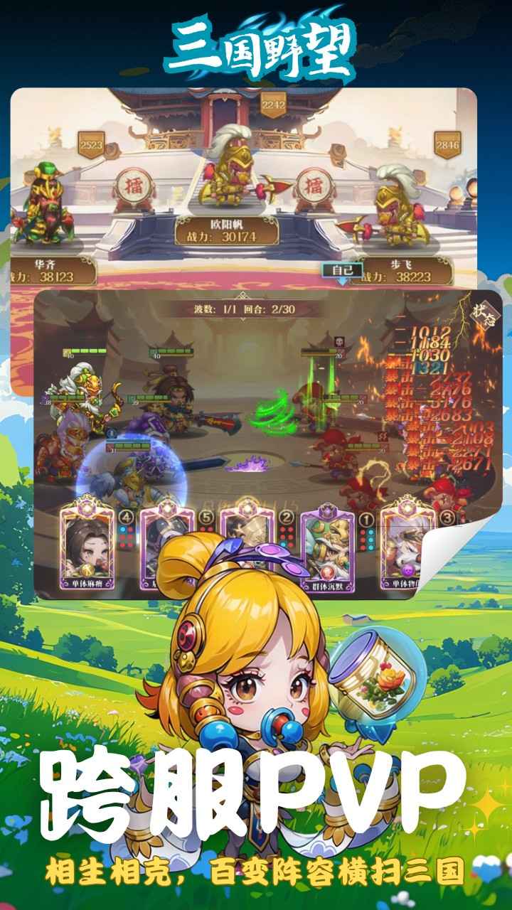 三国野望