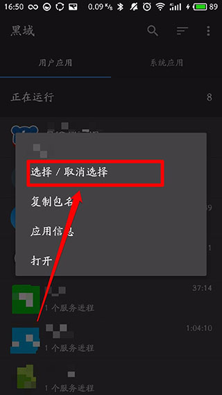 黑域2025