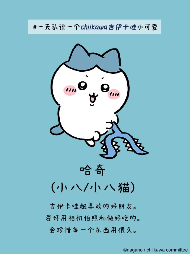 Chiikawa Pocket国际服