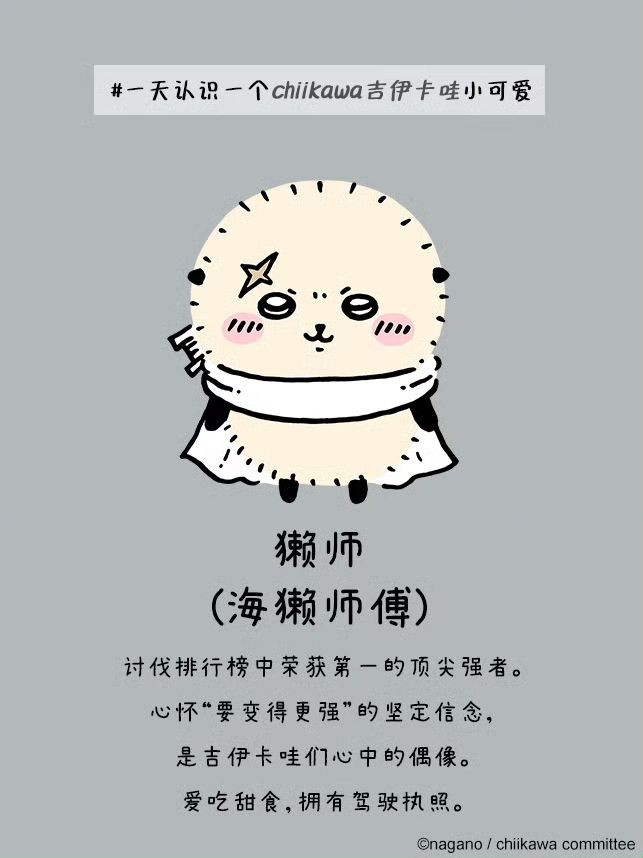 Chiikawa Pocket国际服