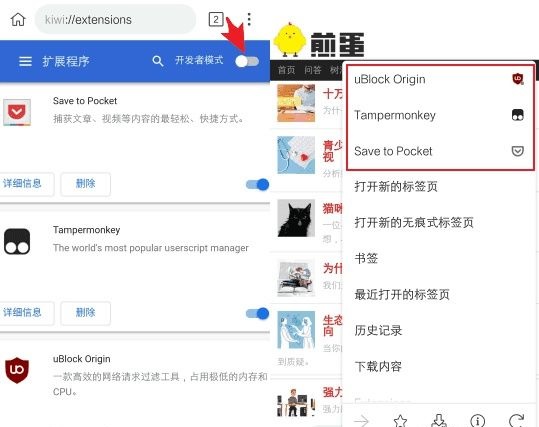 kiwibrowser