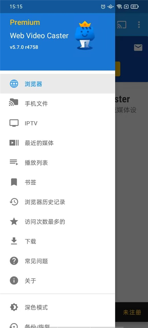 Web Video Caster