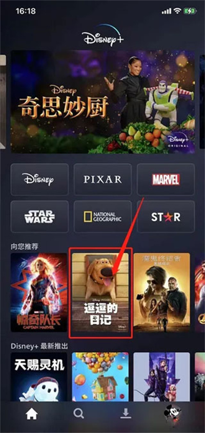 DisneyPlus