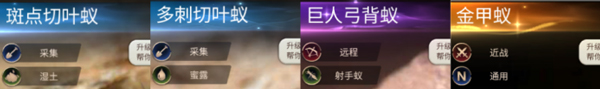 小小蚁国