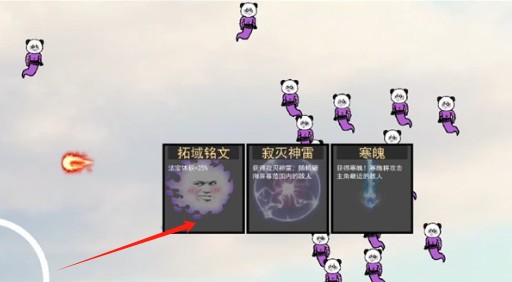 棒槌幸存者