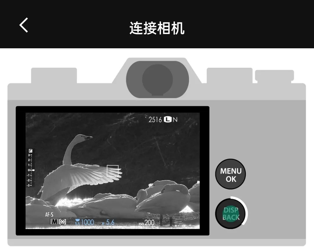 FUJIFILM X
