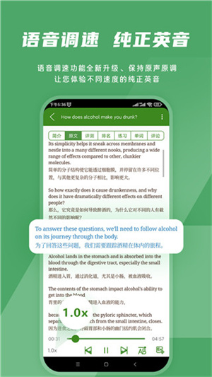 bbe英语