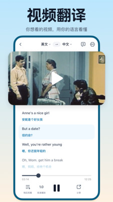 翻译鸥