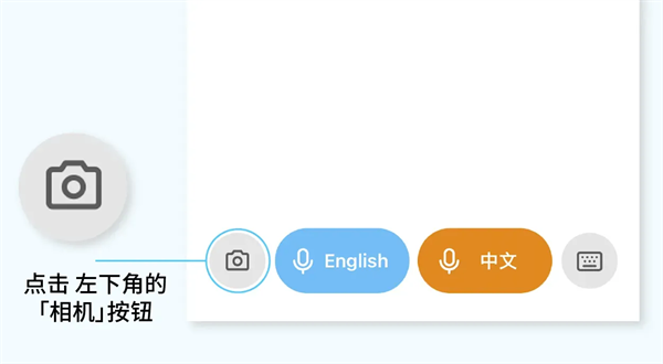 翻译鸥