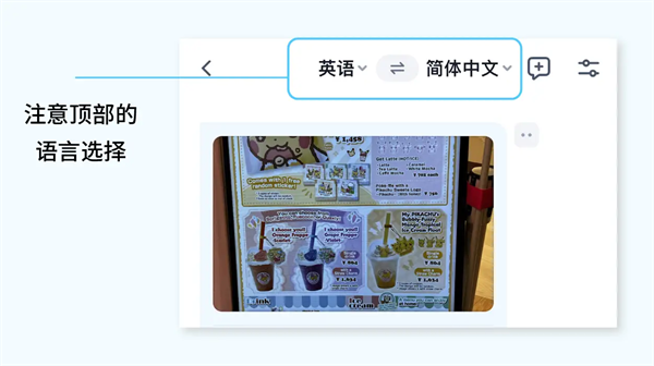 翻译鸥