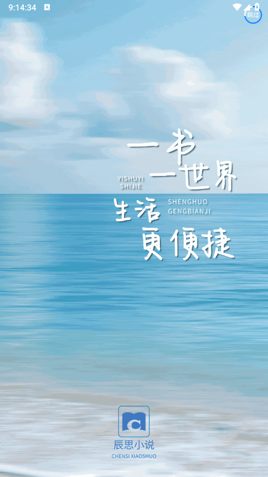 辰思小说