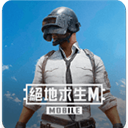 PUBG台服