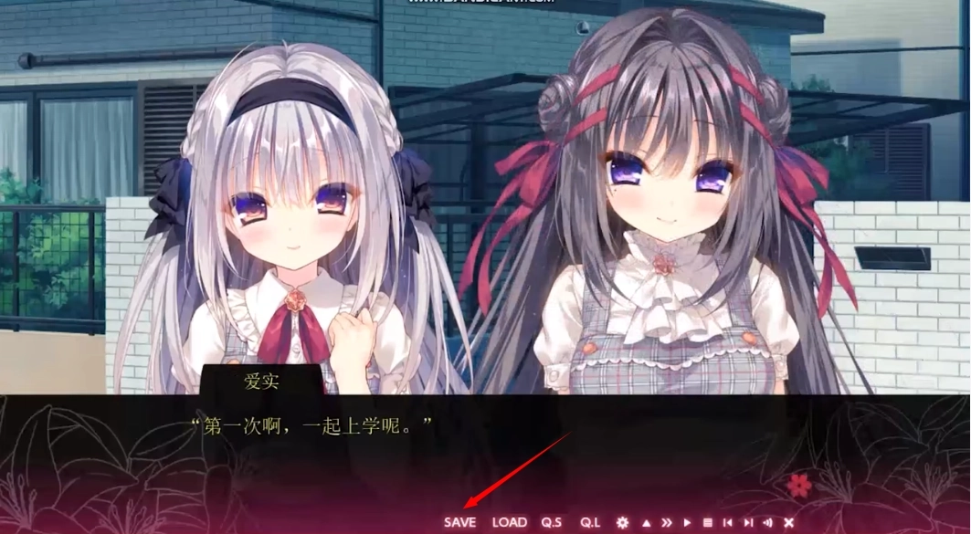 真爱百合直装版